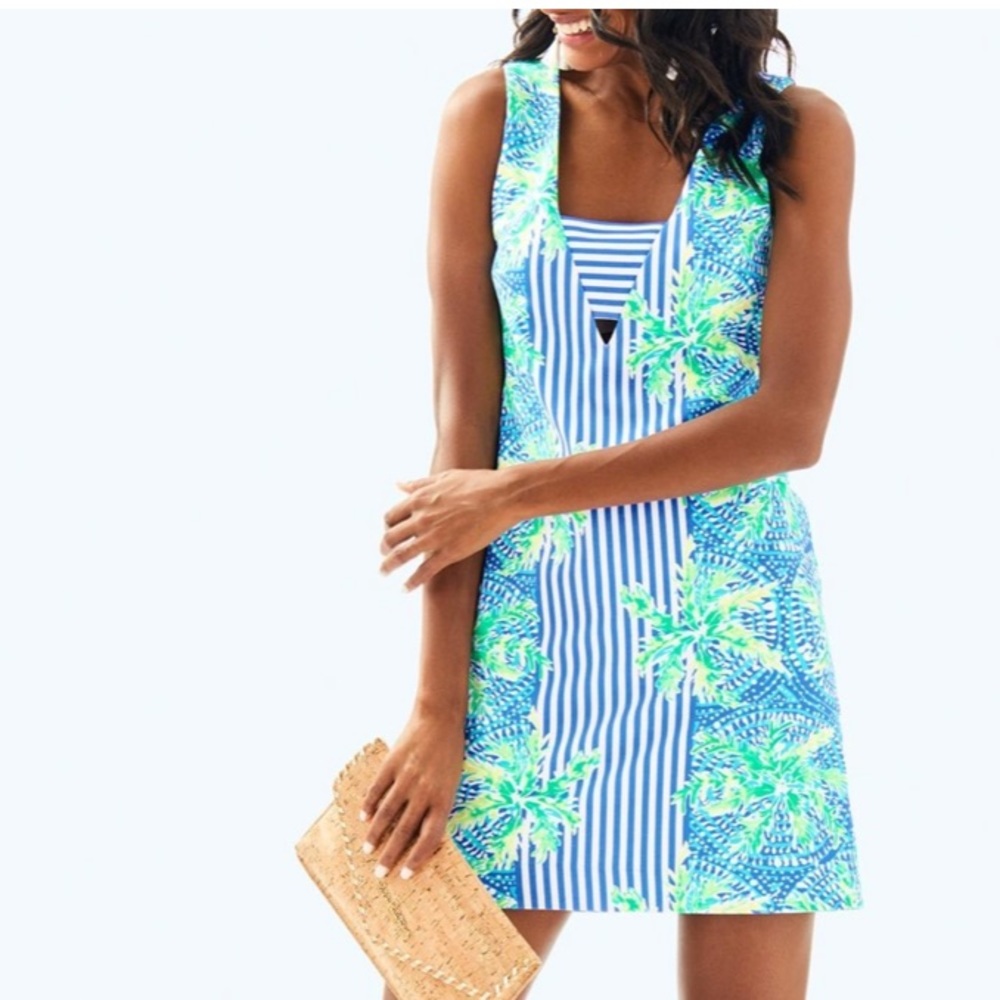 Lilly Pulitzer Chiara Dress Blue Stripe Floral